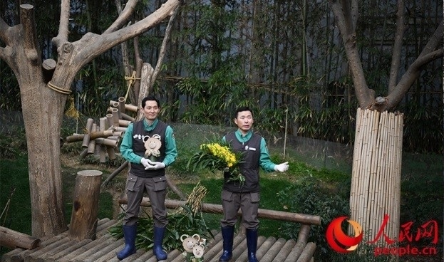 熊貓飼養(yǎng)員姜哲遠(yuǎn)和宋永寬向媒體介紹為“福寶”準(zhǔn)備的送別禮物。人民網(wǎng) 李帆攝