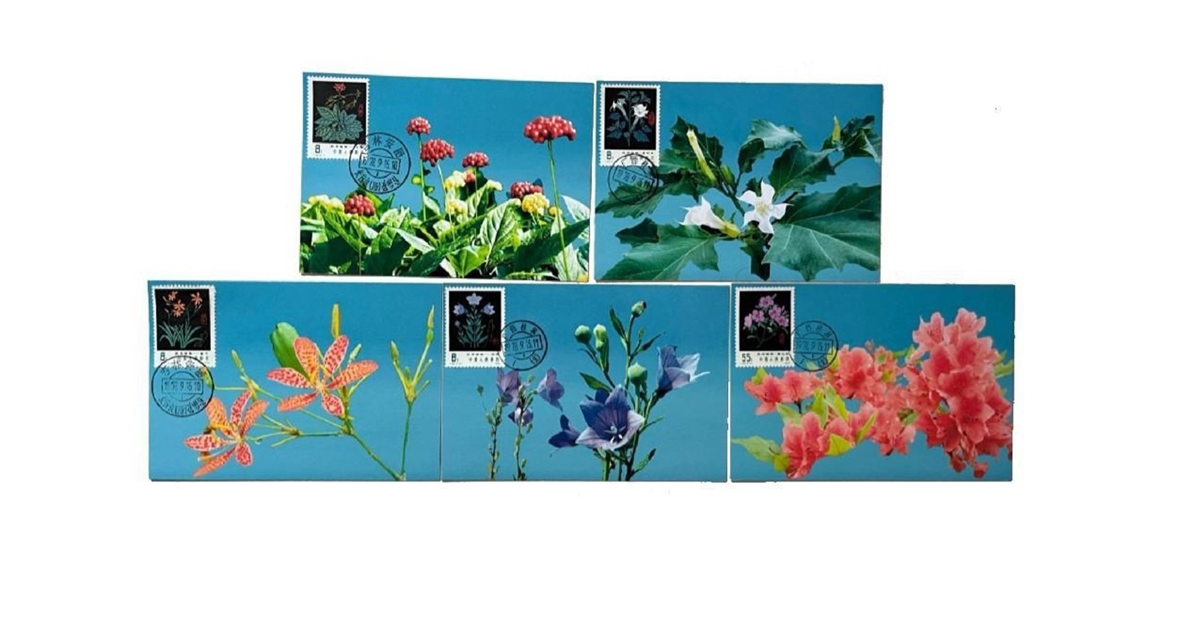首套藥用植物極限片。第七屆阿聯(lián)酋集郵展主辦方供圖