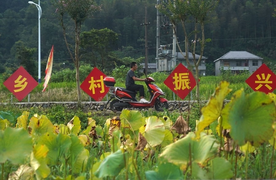 2023年8月24日拍攝的江西省靖安縣璪都鎮(zhèn)港背村一景。該村在當(dāng)?shù)卣С窒拢薰沤?，建民宿，搞開發(fā)，引進(jìn)竹筏漂流、觀光采摘、農(nóng)耕體驗、森林研學(xué)等多種旅游業(yè)態(tài)，建成新田園生態(tài)度假小鎮(zhèn)，發(fā)展鄉(xiāng)村旅游，走上致富路。