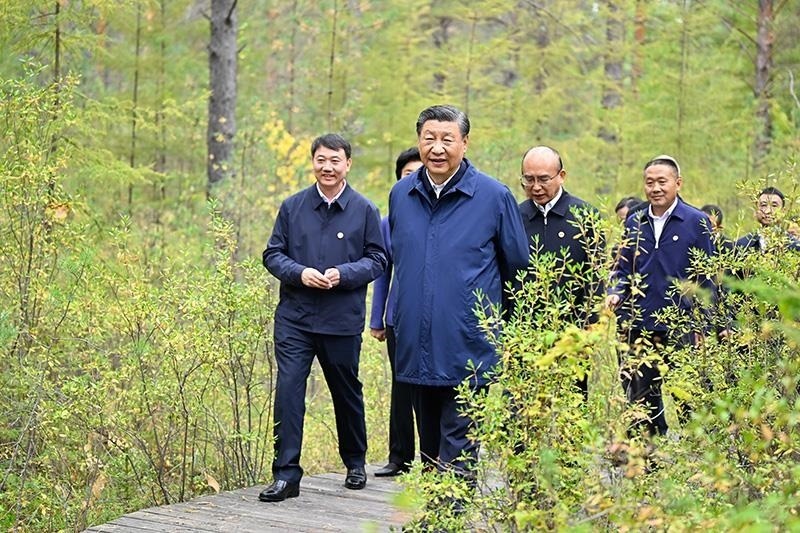 △2023年9月6日，習(xí)近平總書記在大興安嶺地區(qū)漠河市漠河林場(chǎng)自然林區(qū)考察。