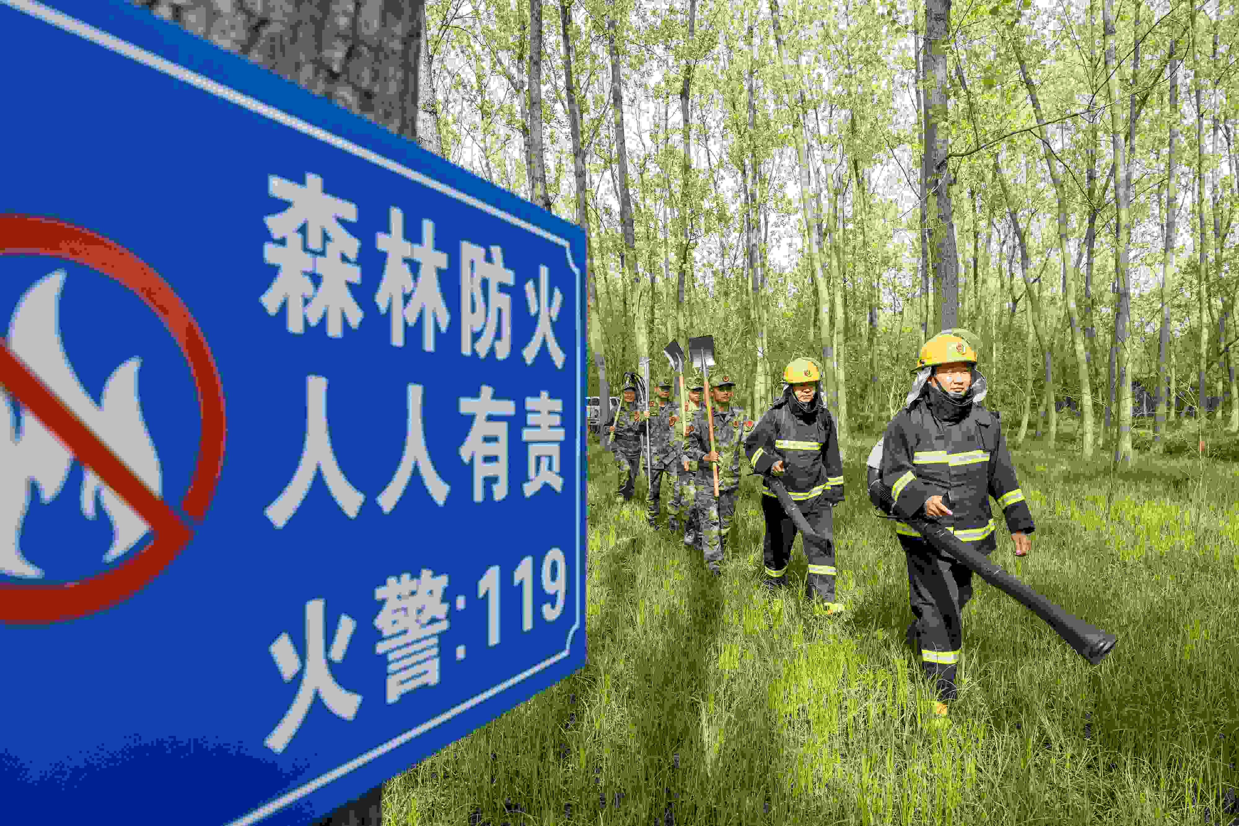 2024年4月9日，合肥市大房郢水庫水源保護(hù)地廬陽經(jīng)濟(jì)開發(fā)區(qū)段，基干民兵正在林間巡查火災(zāi)隱患。