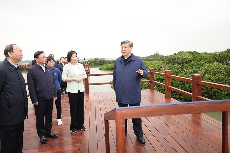 △2023年4月10日，習(xí)近平總書記在廣東湛江市麻章區(qū)湖光鎮(zhèn)金牛島紅樹林片區(qū)考察。