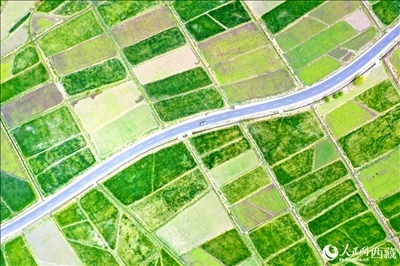 無(wú)人機(jī)視角下的西藏山南市瓊結(jié)農(nóng)田。人民網(wǎng)記者 次仁羅布攝