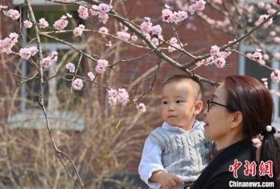 4月21日，游客在吉林大學(xué)南嶺校區(qū)賞花。張瑤 攝