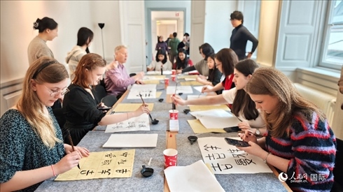 瑞典書法愛好者專心學習書法。人民網(wǎng)記者 殷淼攝