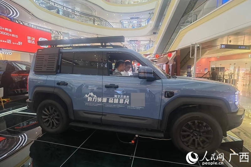 消費(fèi)者在商場(chǎng)選購(gòu)汽車。人民網(wǎng)記者 陳燕攝