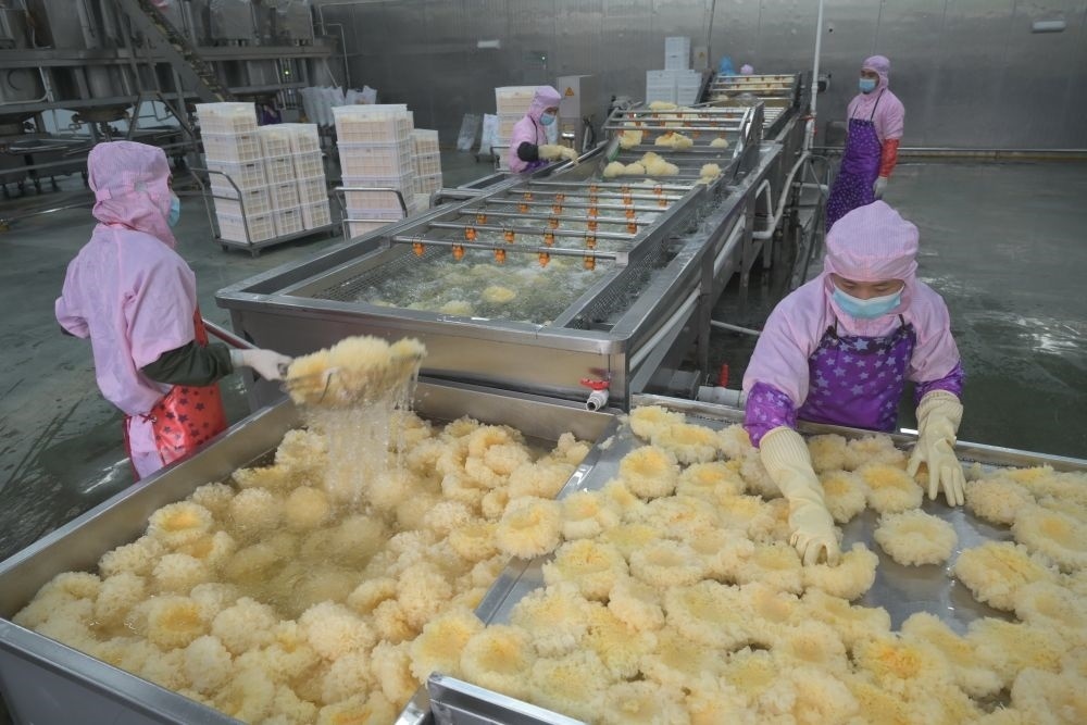 2024年5月10日，在福建省寧德市古田縣，一家食品公司的工作人員在挑選清洗銀耳。新華社記者 林善傳 攝