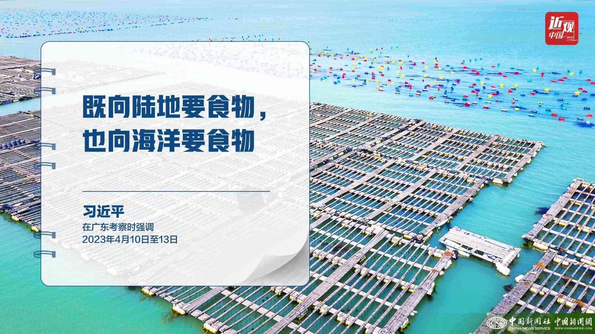 習近平：樹立大食物觀，構(gòu)建多元化食物供給體系