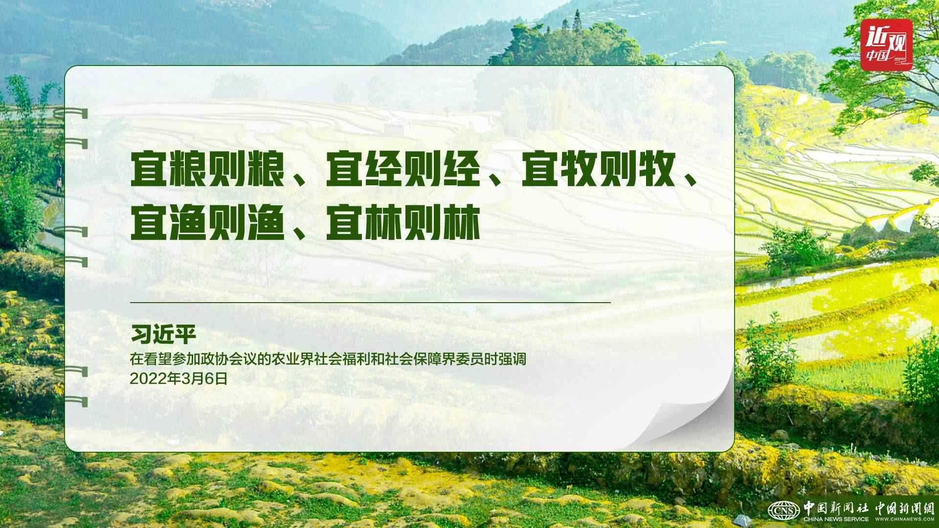習近平：樹立大食物觀，構(gòu)建多元化食物供給體系
