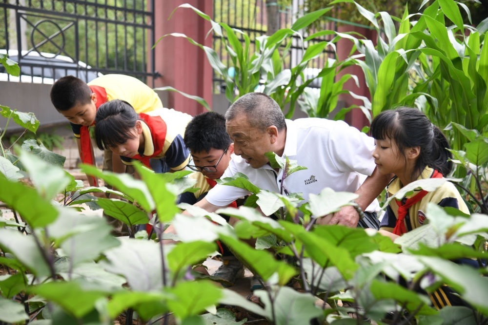 5月31日，老師帶領(lǐng)學(xué)生在之江小學(xué)勞動(dòng)實(shí)踐基地學(xué)習(xí)蔬菜知識(shí)。新華社記者 胥冰潔 攝