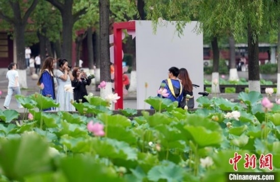 6月19日，時值一年畢業(yè)季，四川大學(xué)望江校區(qū)荷花池里的荷花盛開，成為了畢業(yè)生們的打卡圣地，吸引了眾多畢業(yè)生拍照留念。圖為畢業(yè)生在荷花池邊拍照留念。中新社記者 安源 攝