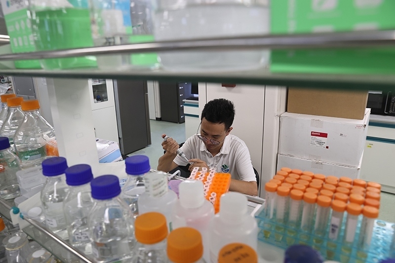 在三亞崖州灣科技城，一名青年科技工作者正在進(jìn)行科研工作。