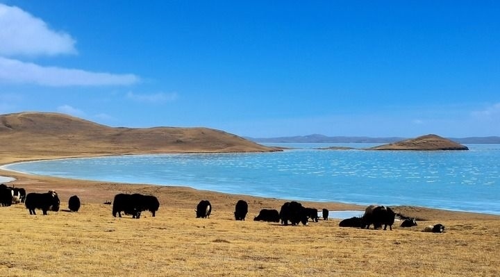 在三江源國家公園黃河源園區(qū)拍攝的扎陵湖風(fēng)光（2022年3月12日攝）。新華社記者 呂雪莉 攝