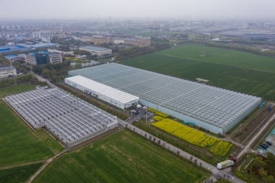 2024年3月28日，空中俯瞰嘉興南湖區(qū)湘家蕩農(nóng)業(yè)數(shù)字化工廠（無人機(jī)照片）。該農(nóng)業(yè)數(shù)字化工廠占地總面積約62畝，包含智慧農(nóng)業(yè)生產(chǎn)、物聯(lián)網(wǎng)智能管理、自動分揀包裝、保鮮儲藏物流、高科技示范展示等五大功能區(qū)，可直接或間接培養(yǎng)帶動新型職業(yè)技術(shù)農(nóng)民500人以上。新華社記者 徐昱 攝