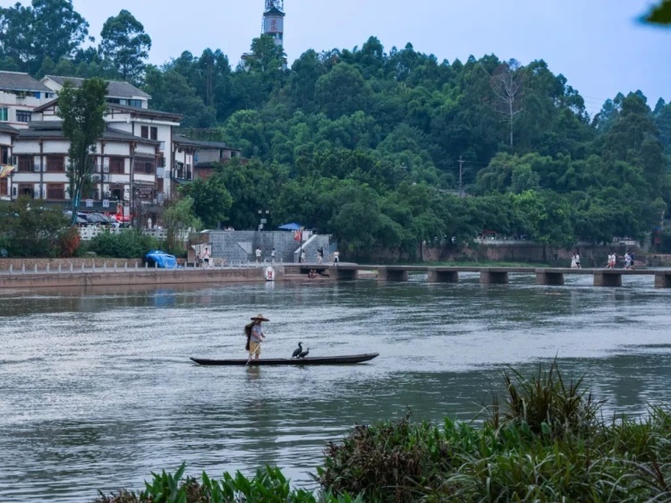 蘇稽古鎮(zhèn)的漁民在進(jìn)行魚(yú)鷹捕魚(yú)表演。本報(bào)記者 伊霄攝