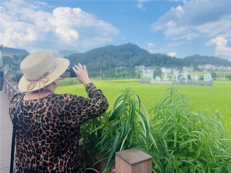 “我在花茂有塊田”，不僅是中國(guó)人的詩和遠(yuǎn)方，也是塔吉克斯坦“阿維斯塔”通訊社總編輯占納特洪·庫爾班諾娃的“烏托邦”。（張亞欣攝）
