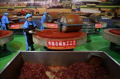 工人用電動石碾加工辣椒面。新華社記者 范培珅 攝