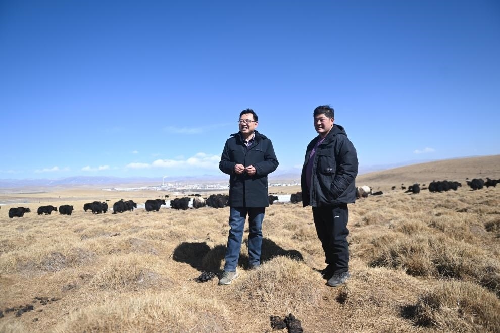 2023年2月24日，在青海省海北藏族自治州海晏縣青海湖鄉(xiāng)達(dá)玉日秀村，全國人大代表董全民（左）查看牧民東知布家的草場。新華社記者 張龍 攝