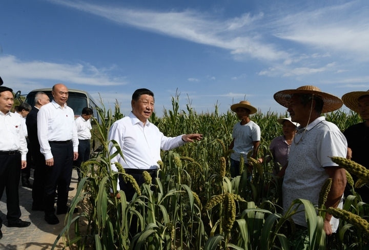 2021年9月13日至14日，中共中央總書記、國(guó)家主席、中央軍委主席習(xí)近平在陜西省榆林市考察。這是13日下午，習(xí)近平在米脂縣銀州街道高西溝村臨時(shí)下車，察看糧食作物長(zhǎng)勢(shì)，同正在田間勞作的老鄉(xiāng)拉家常。新華社記者 李學(xué)仁 攝