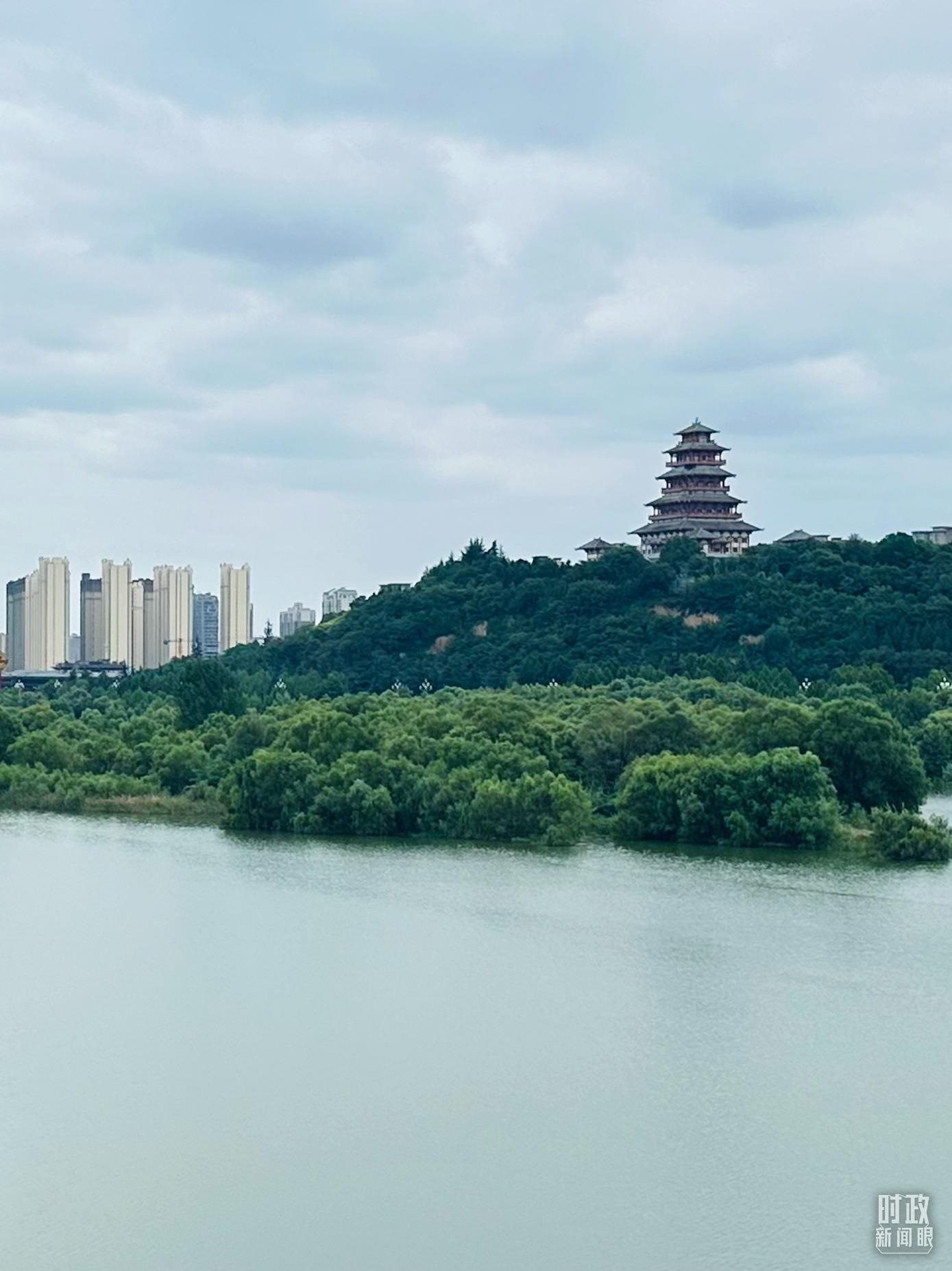 △渭河寶雞段長224公里，目前建成17處渭河灘區(qū)生態(tài)涵養(yǎng)區(qū)。（總臺央視記者范一鳴拍攝）