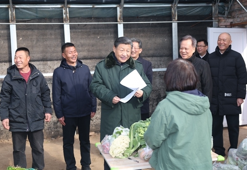 2024年2月1日，習(xí)近平總書記在天津市西青區(qū)辛口鎮(zhèn)第六埠村，走進(jìn)大棚同菜農(nóng)親切交流。