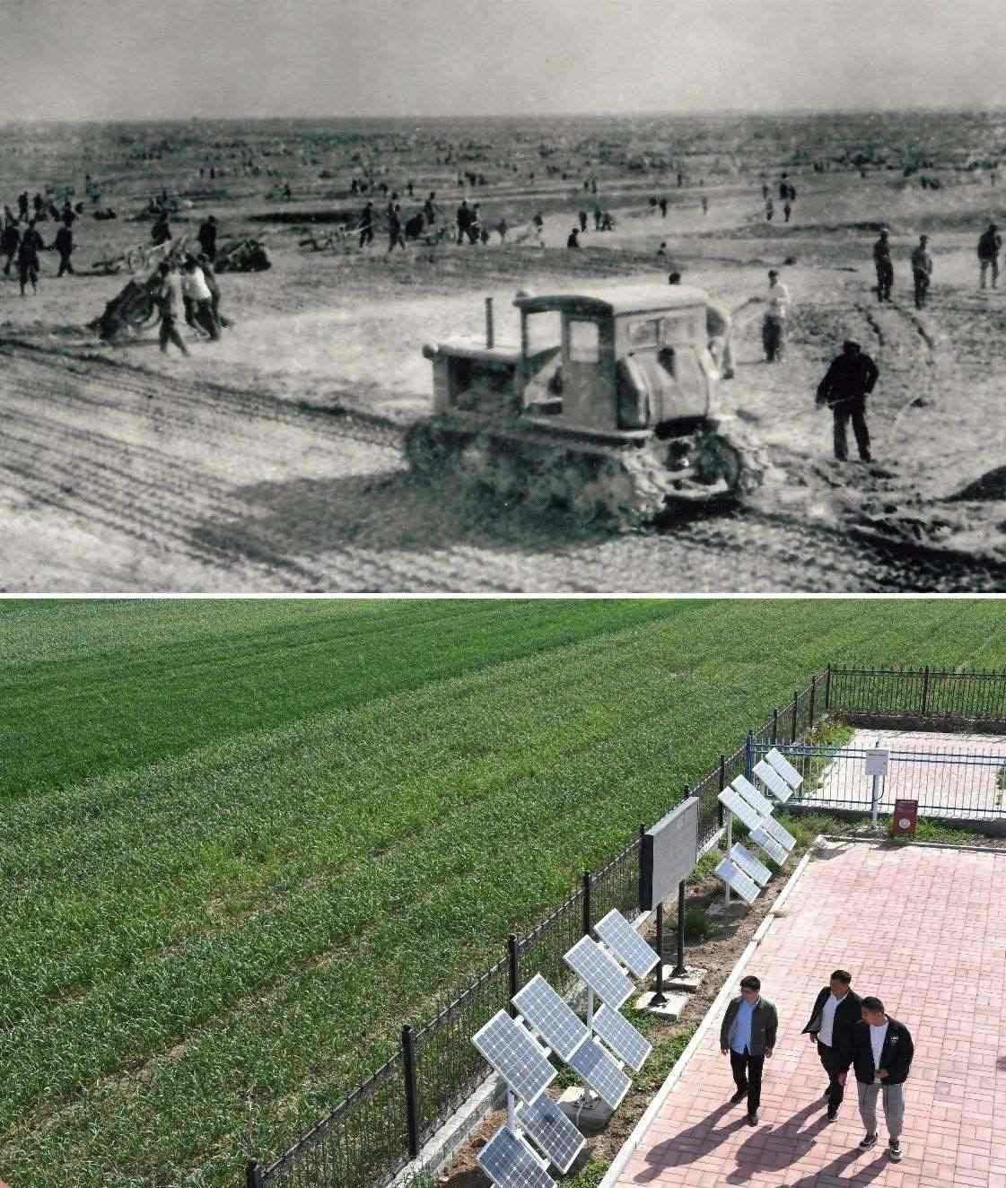 上圖為二十世紀(jì)六十年代蘭考改造鹽堿地的情景（資料照片）；下圖為2024年4月18日拍攝的蘭考縣紅廟鎮(zhèn)高標(biāo)準(zhǔn)農(nóng)田示范區(qū)。（新華社記者 朱祥 攝）