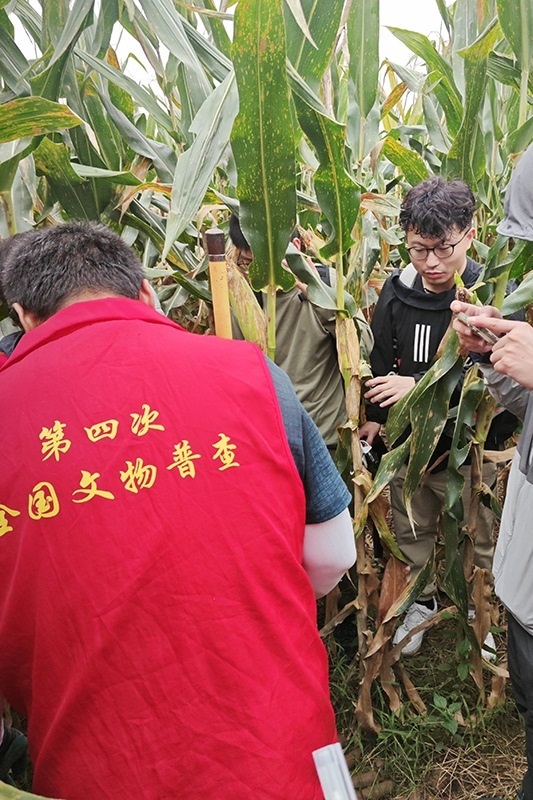 普查隊員正在使用探鏟進行探測。中國文物報供圖