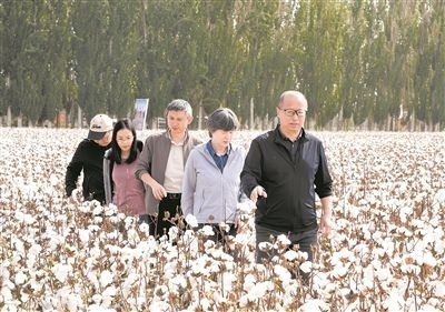 李召虎團(tuán)隊成員在棉田了解試驗情況。 受訪單位供圖