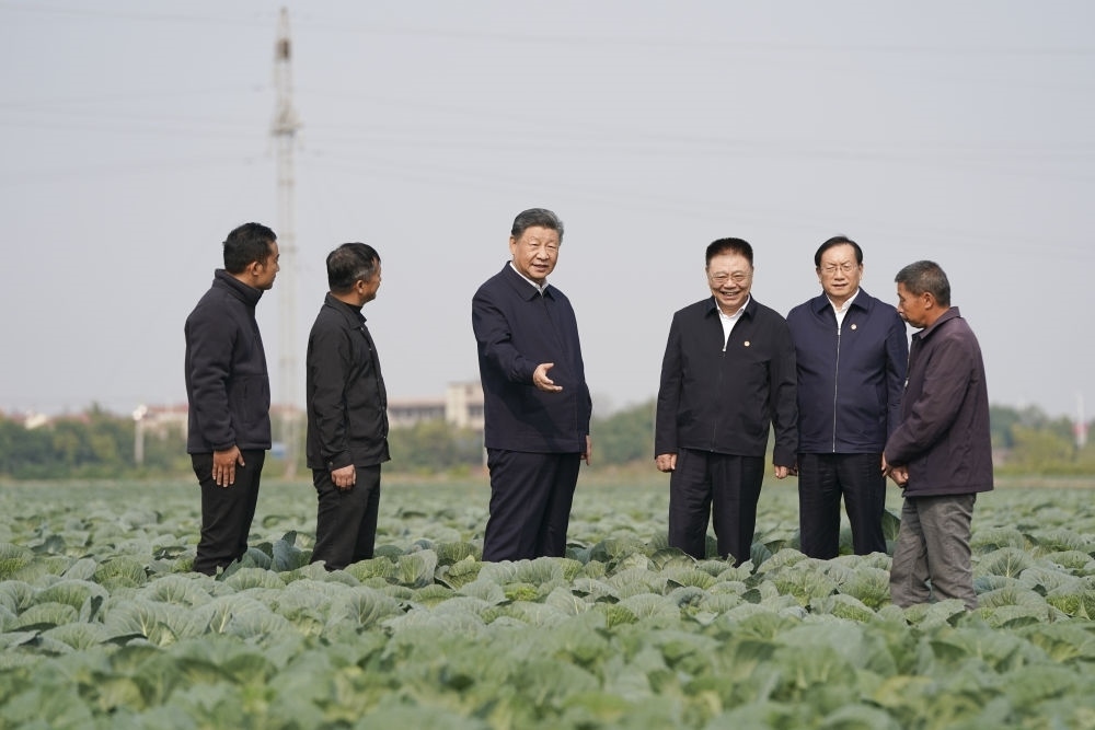 2024年3月19日，習(xí)近平在湖南省常德市鼎城區(qū)謝家鋪鎮(zhèn)港中坪村，同種糧大戶、農(nóng)技人員、基層干部親切交流。他勉勵當(dāng)?shù)馗刹咳罕娮呖萍贾?、質(zhì)量之路、品牌之路，把蔬菜種植這個富民產(chǎn)業(yè)進一步做好，讓更多群眾增收致富。