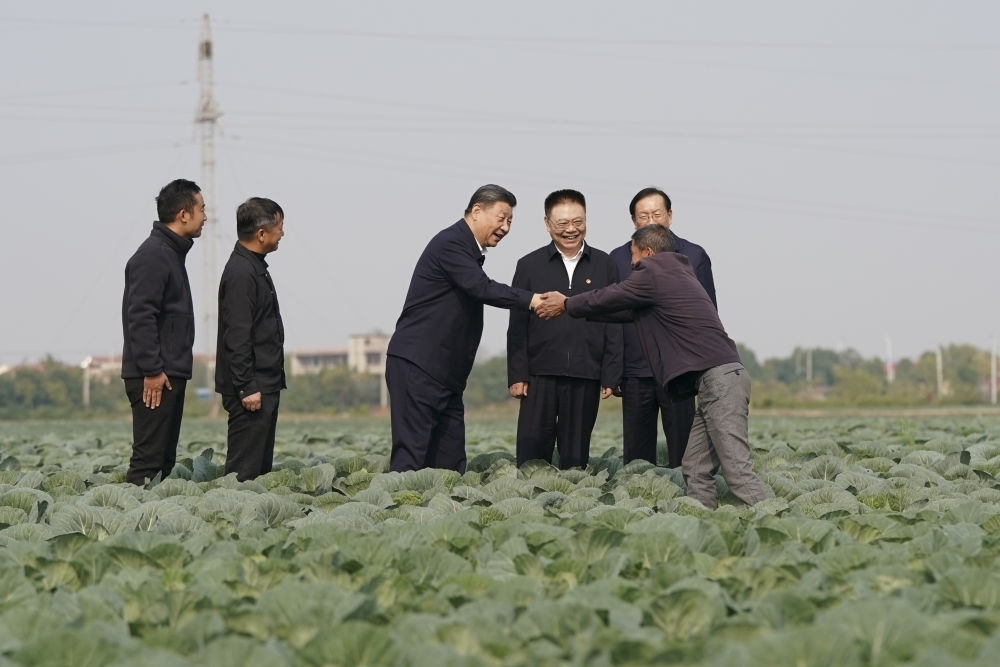 2024年11月5日，習(xí)近平在咸寧市嘉魚縣潘家灣鎮(zhèn)十里蔬菜長廊考察時，同菜農(nóng)親切交流。