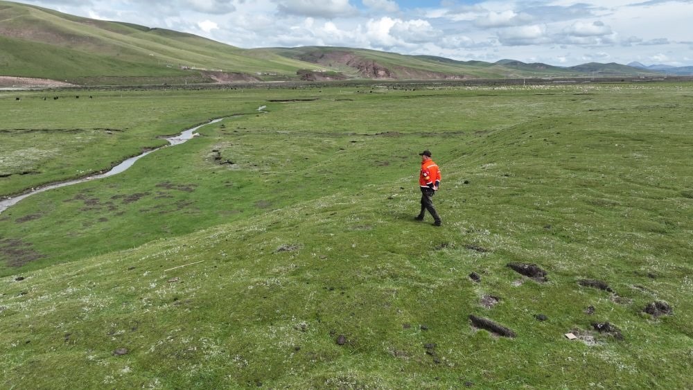 9月24日，生態(tài)管護員那瓦才郎在草場上巡護。（受訪者供圖）