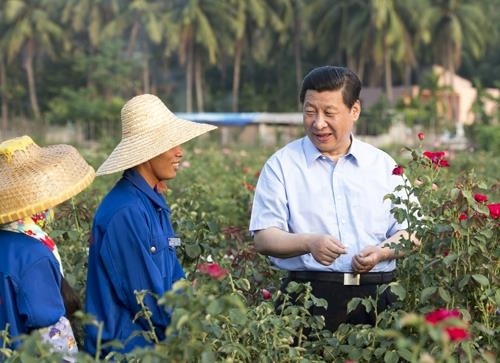△2013年4月9日，習(xí)近平總書記在海南亞龍灣蘭德玫瑰風(fēng)情產(chǎn)業(yè)園向花農(nóng)了解玫瑰種植管理技術(shù)。