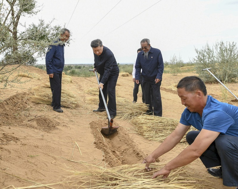 2019年8月21日，習(xí)近平總書(shū)記在甘肅武威市古浪縣八步沙林場(chǎng)，和林場(chǎng)職工一起翻沙開(kāi)溝。