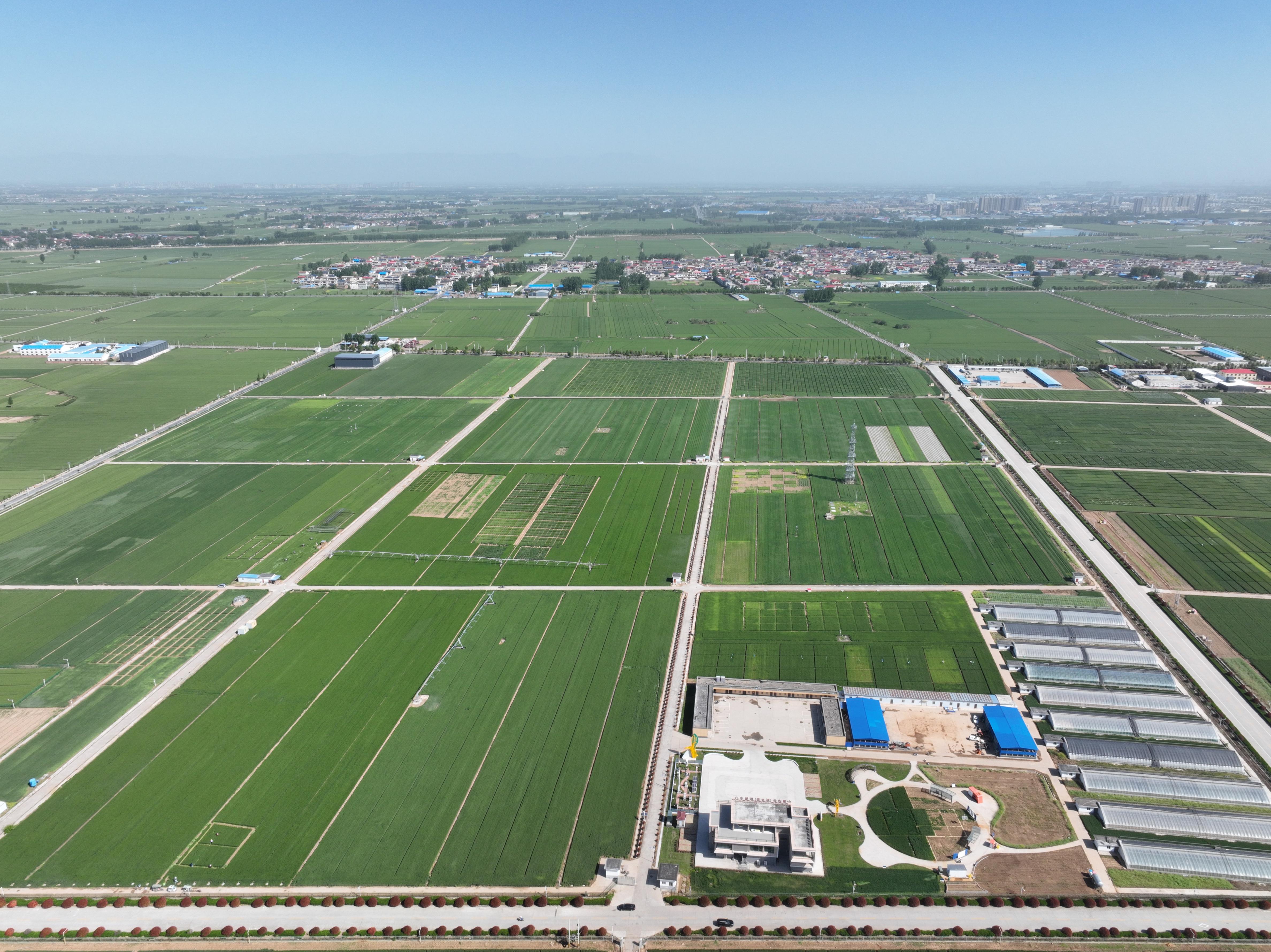 俯瞰水利部灌溉試驗(yàn)總站試驗(yàn)研究基地。受訪者供圖