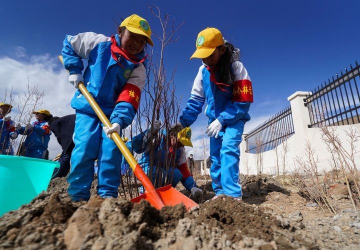 2025年4月25日，西藏那曲市小學生在植樹。新華社記者 晉美多吉 攝